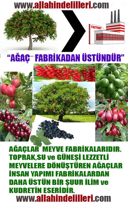 Allahın Varlığının Delilleri, Allahın Delilleri, Tanrının ispatı, Tanrının kanıtları, Allahın ispatı, Allahin delilleri