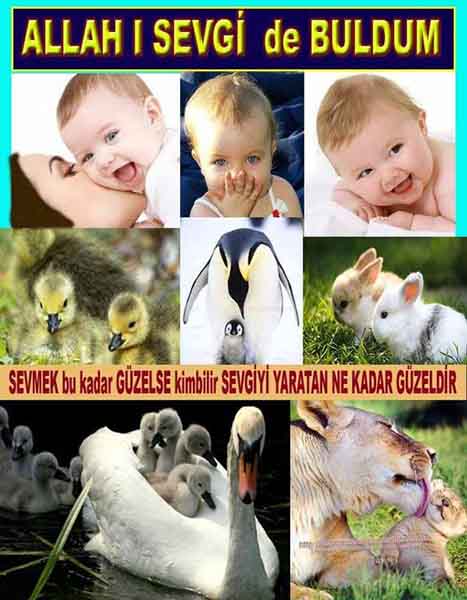 Allahın Varlığının Delilleri, Allahın Delilleri, Tanrının ispatı, Tanrının kanıtları, Allahın ispatı, Allahin delilleri