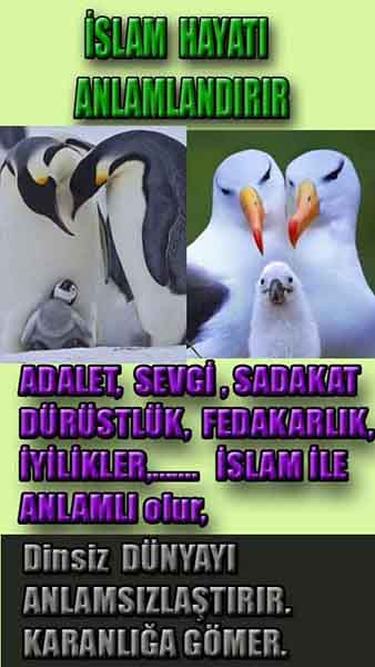 Allahın Varlığının Delilleri, Allahın Delilleri, Tanrının ispatı, Tanrının kanıtları, Allahın ispatı, Allahin delilleri