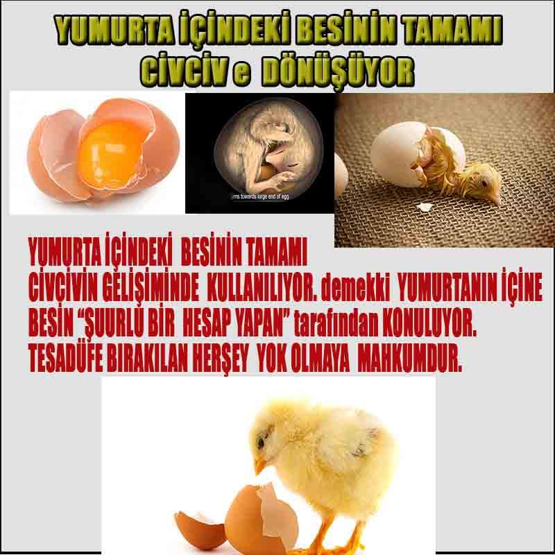 Allahın Varlığının Delilleri, Allahın Delilleri, Tanrının ispatı, Tanrının kanıtları, Allahın ispatı, Allahin delilleri