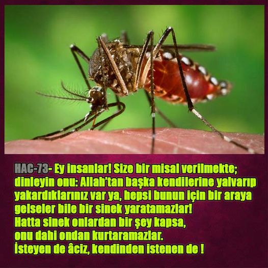 Allahın Varlığının Delilleri, Allahın Delilleri, Tanrının ispatı, Tanrının kanıtları, Allahın ispatı, Allahin delilleri