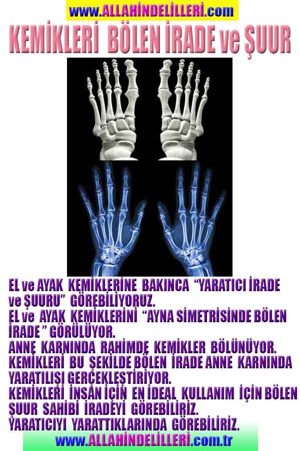 Allahın Varlığının Delilleri, Allahın Delilleri, Tanrının ispatı, Tanrının kanıtları, Allahın ispatı, Allahin delilleri