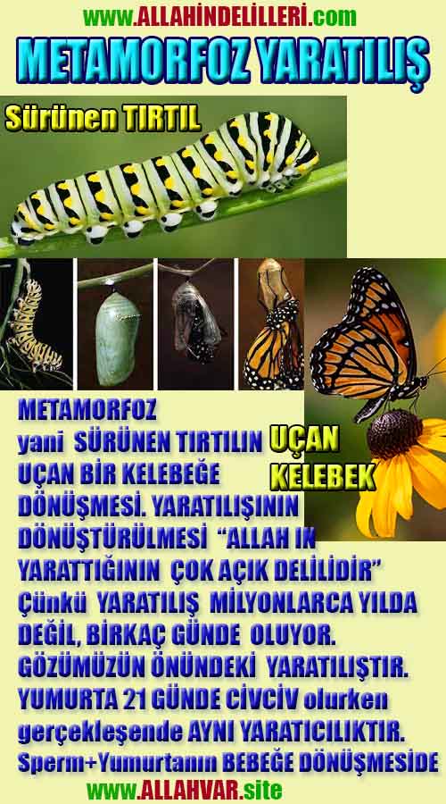 Allahın Varlığının Delilleri, Allahın Delilleri, Tanrının ispatı, Tanrının kanıtları, Allahın ispatı, Allahin delilleri