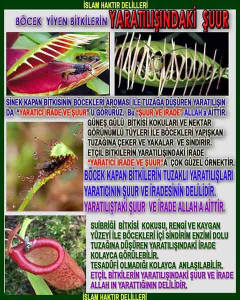 Allahın Varlığının Delilleri, Allahın Delilleri, Tanrının ispatı, Tanrının kanıtları, Allahın ispatı, Allahin delilleri