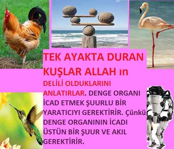 Allahın Varlığının Delilleri, Allahın Delilleri, Tanrının ispatı, Tanrının kanıtları, Allahın ispatı, Allahin delilleri