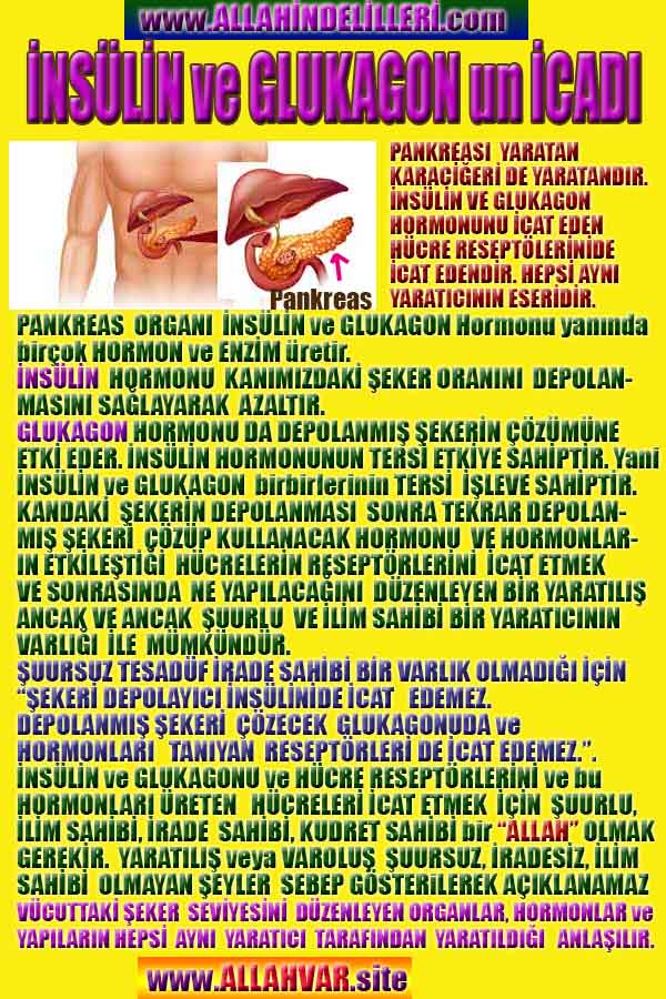 Allahın Varlığının Delilleri, Allahın Delilleri, Tanrının ispatı, Tanrının kanıtları, Allahın ispatı, Allahin delilleri