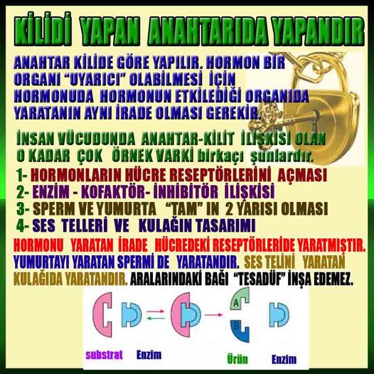 Allahın Varlığının Delilleri, Allahın Delilleri, Tanrının ispatı, Tanrının kanıtları, Allahın ispatı, Allahin delilleri