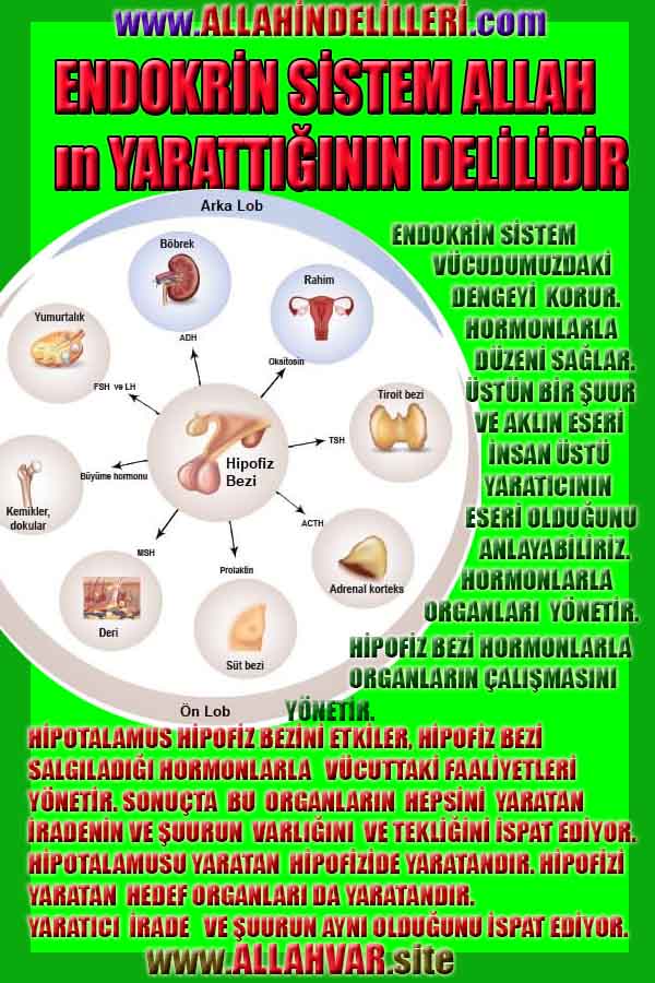 Allahın Varlığının Delilleri, Allahın Delilleri, Tanrının ispatı, Tanrının kanıtları, Allahın ispatı, Allahin delilleri
