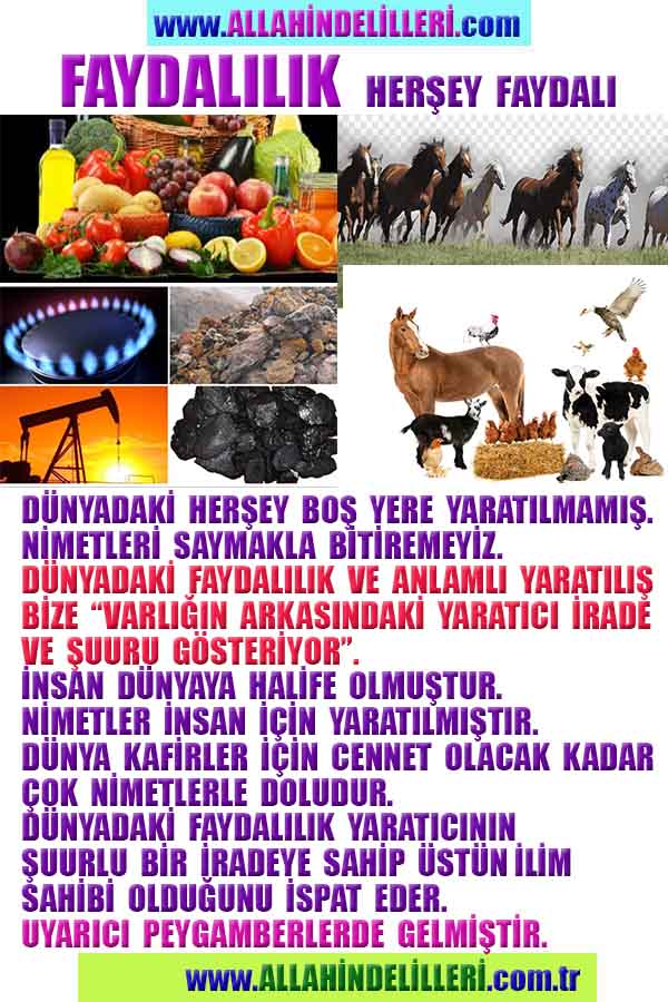 Allahın Varlığının Delilleri, Allahın Delilleri, Tanrının ispatı, Tanrının kanıtları, Allahın ispatı, Allahin delilleri