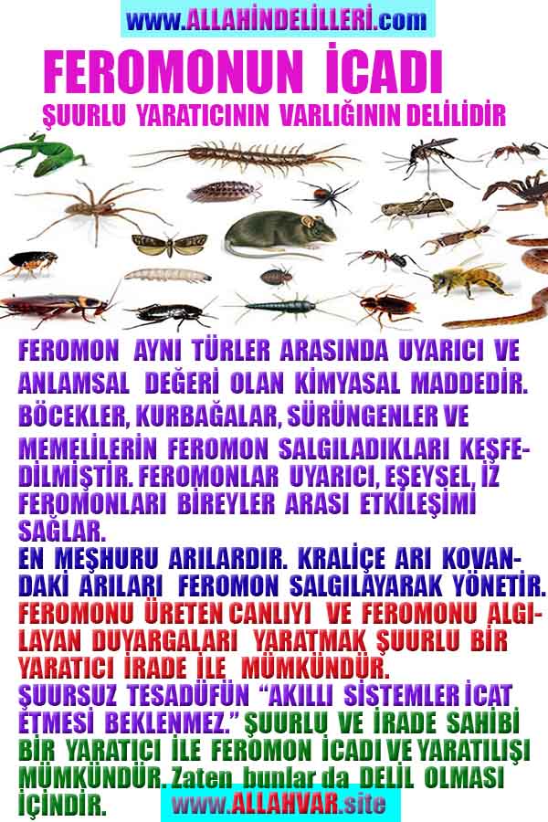 Allahın Varlığının Delilleri, Allahın Delilleri, Tanrının ispatı, Tanrının kanıtları, Allahın ispatı, Allahin delilleri