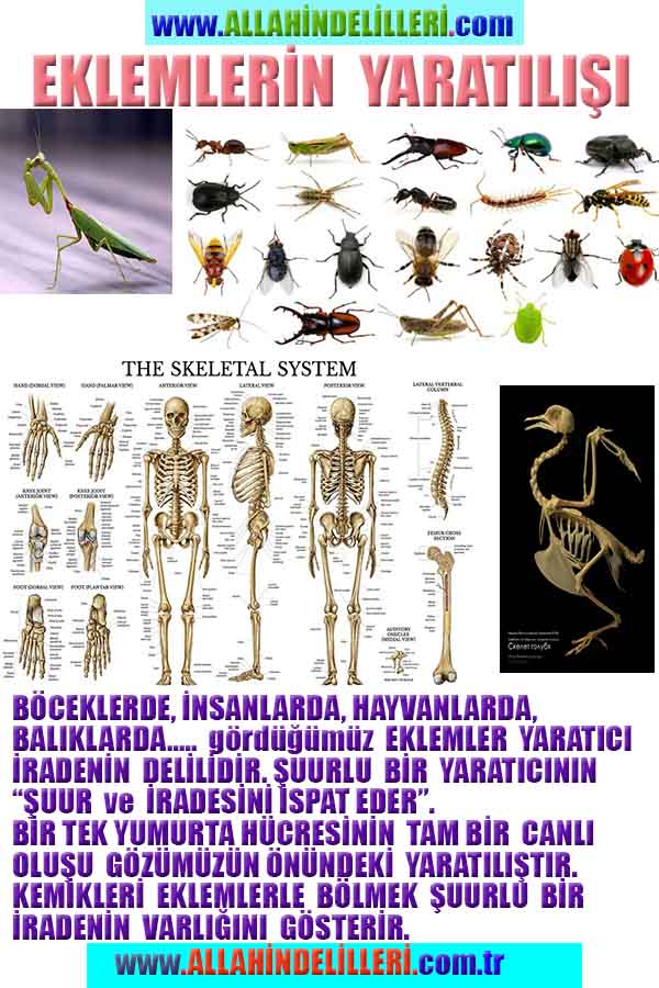 Allahın Varlığının Delilleri, Allahın Delilleri, Tanrının ispatı, Tanrının kanıtları, Allahın ispatı, Allahin delilleri