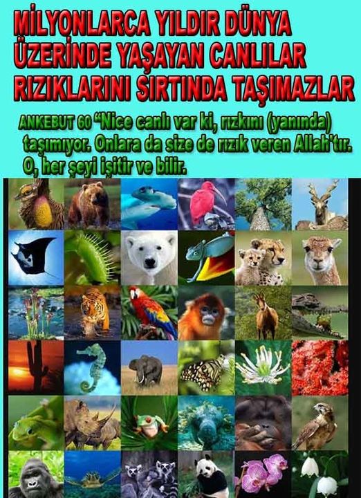 Allahın Varlığının Delilleri, Allahın Delilleri, Tanrının ispatı, Tanrının kanıtları, Allahın ispatı, Allahin delilleri