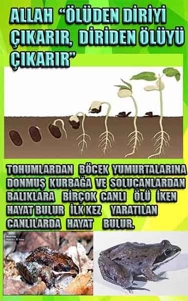 Allahın Varlığının Delilleri, Allahın Delilleri, Tanrının ispatı, Tanrının kanıtları, Allahın ispatı, Allahin delilleri