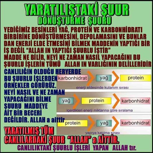 Allahın Varlığının Delilleri, Allahın Delilleri, Tanrının ispatı, Tanrının kanıtları, Allahın ispatı, Allahin delilleri