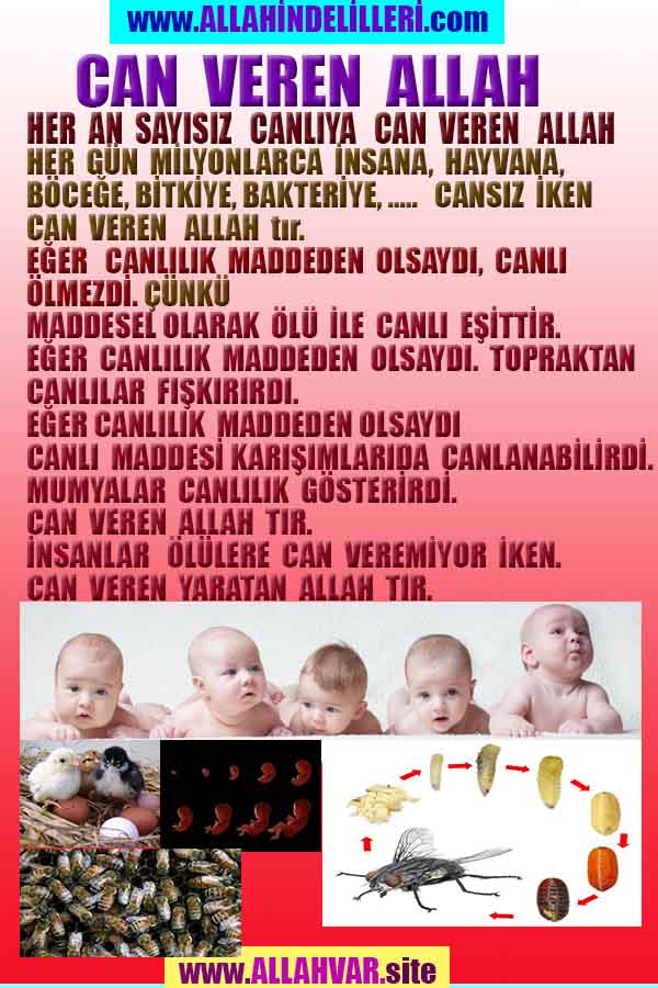 Allahın Varlığının Delilleri, Allahın Delilleri, Tanrının ispatı, Tanrının kanıtları, Allahın ispatı, Allahin delilleri