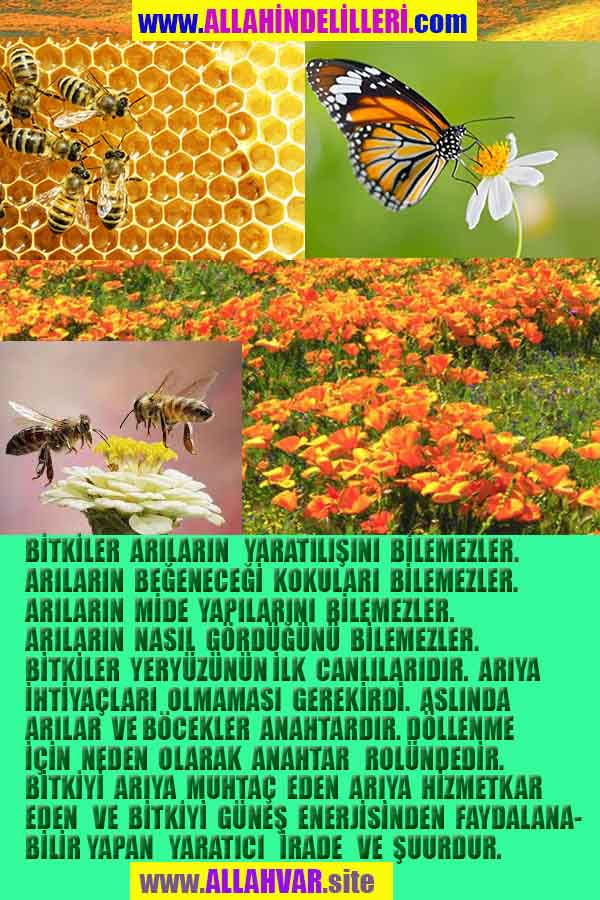 Allahın Varlığının Delilleri, Allahın Delilleri, Tanrının ispatı, Tanrının kanıtları, Allahın ispatı, Allahin delilleri