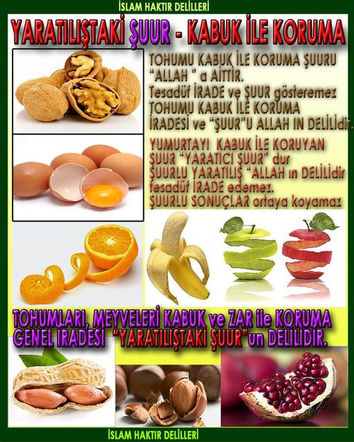 Allahın Varlığının Delilleri, Allahın Delilleri, Tanrının ispatı, Tanrının kanıtları, Allahın ispatı, Allahin delilleri