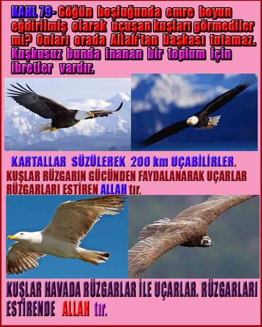 Allahın Varlığının Delilleri, Allahın Delilleri, Tanrının ispatı, Tanrının kanıtları, Allahın ispatı, Allahin delilleri