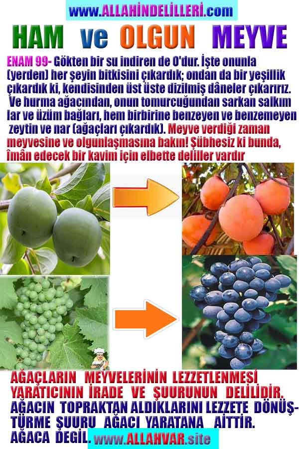 Allahın Varlığının Delilleri, Allahın Delilleri, Tanrının ispatı, Tanrının kanıtları, Allahın ispatı, Allahin delilleri