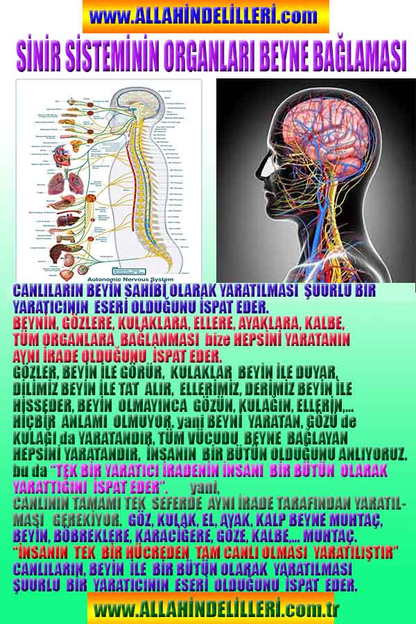 Allahın Varlığının Delilleri, Allahın Delilleri, Tanrının ispatı, Tanrının kanıtları, Allahın ispatı, Allahin delilleri